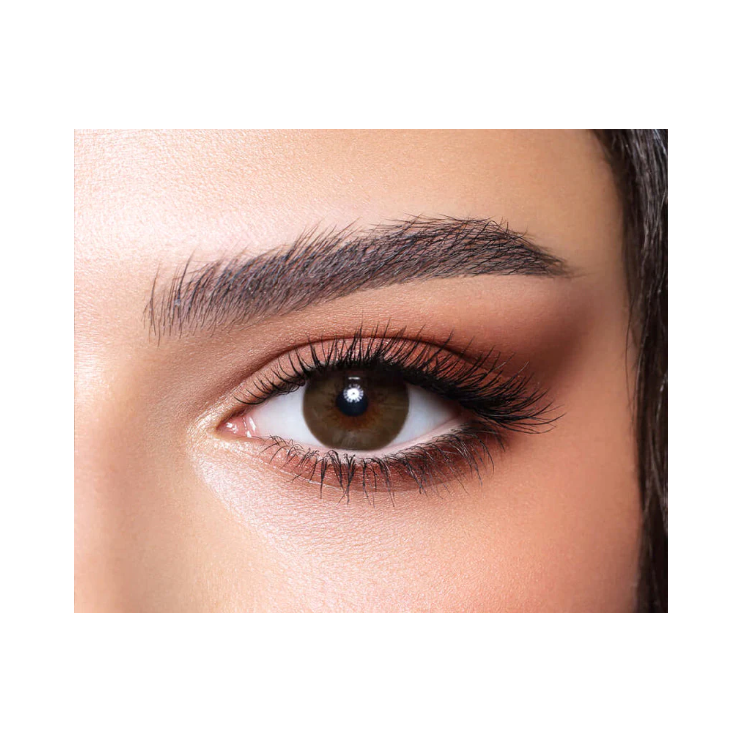bella-diamond-brown-shadow-lenses
