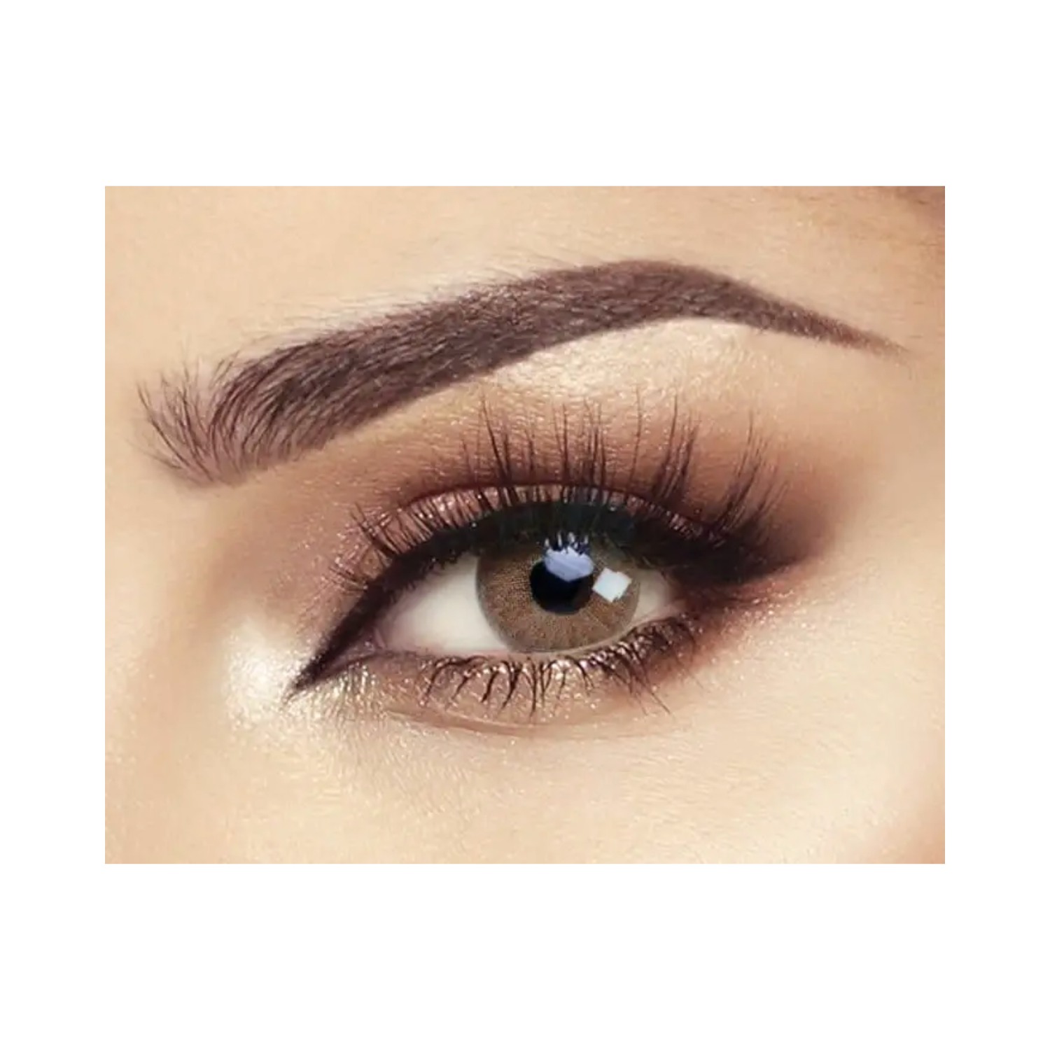 bella-elite-wild-honey-lenses