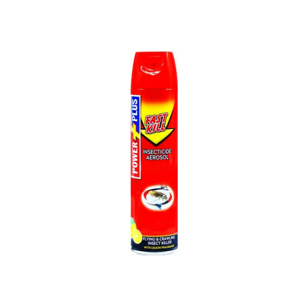 POWER PLUS INSECTICIDE AEROSOL SPRAY 600ML