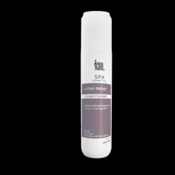 SPA HAIR CONDITIONER 250ML